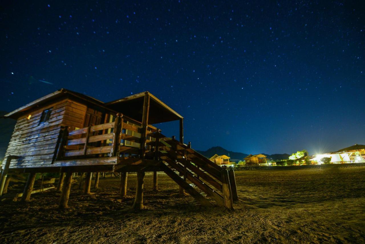 Ananda Beach Camp نويبع المظهر الخارجي الصورة