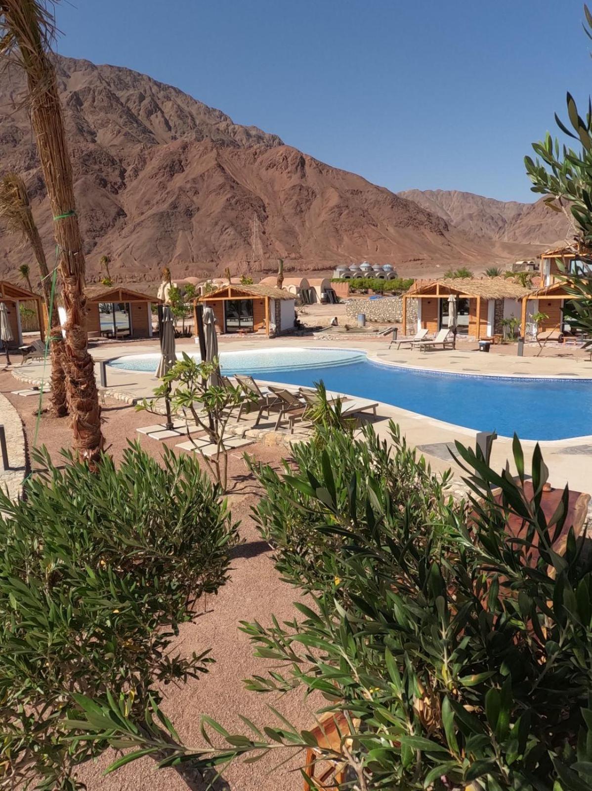 Ananda Beach Camp نويبع المظهر الخارجي الصورة