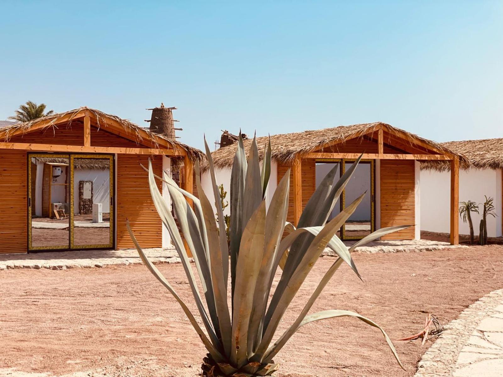 Ananda Beach Camp نويبع المظهر الخارجي الصورة