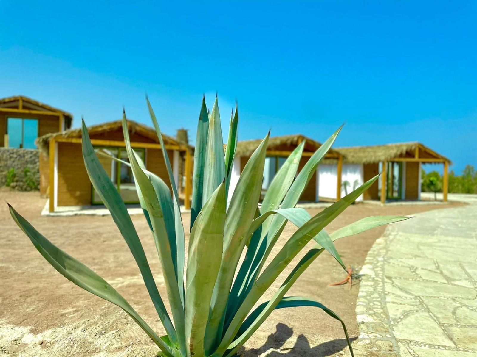 Ananda Beach Camp نويبع المظهر الخارجي الصورة